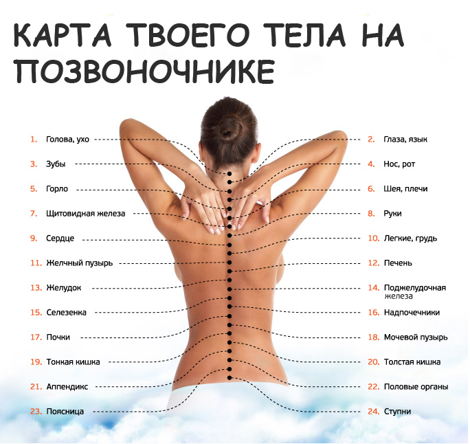 Узнай, как связан позвоночник с другими органами. Причина болей в спине может оказаться сюрпризом.