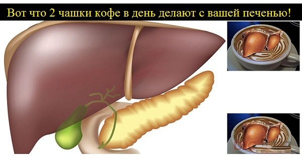 Вот это поворот! Вот что 2 чашки кофе в день делают с вашей печенью!