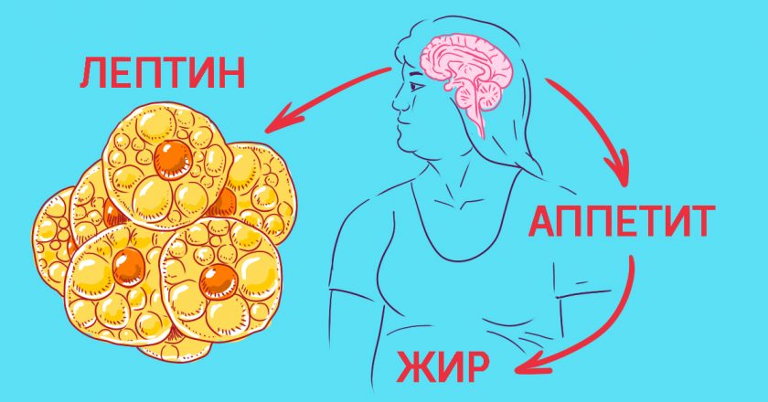 Как управлять голодом: 8 уверенных шагов к вечной стройности