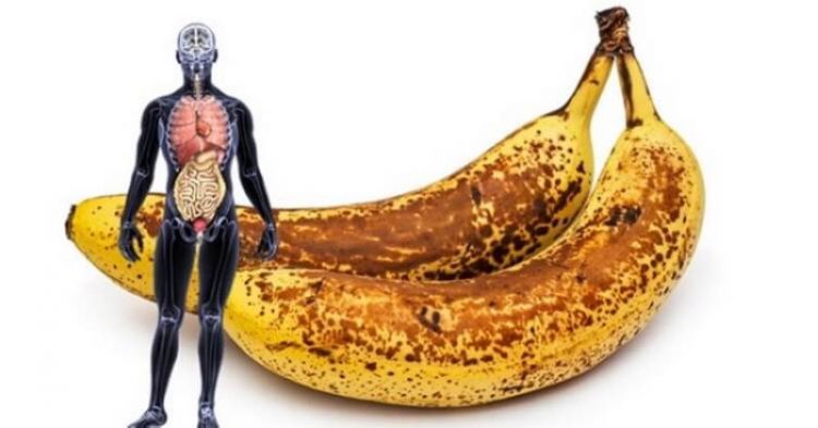 Что нужно знать выбирая бананы в магазине