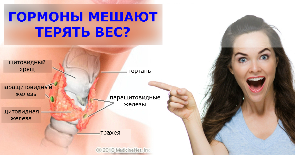 Я — эксперт по гормонам. И вот что я говорю тем, кто хочет похудеть! Причина — в них!