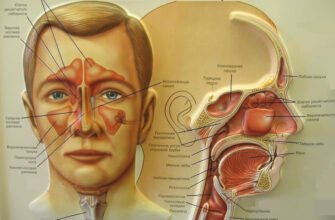 Как почистить пазухи носа и избавить себя от многих недугов