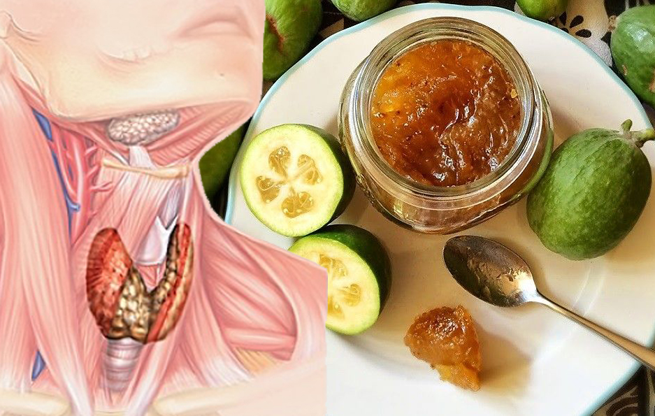 Фейхоа с медом — самое эффективное средство для исцеления щитовидки