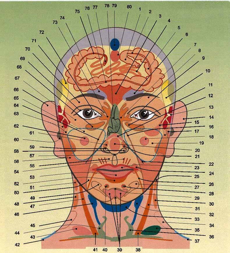 Китайская карта лица расскажет о ваших болезнях у женщин