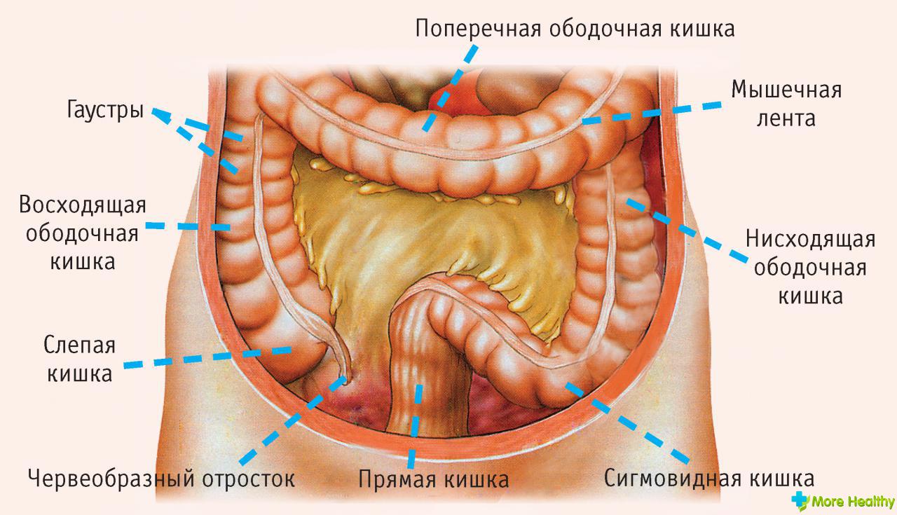 Не сложные 7 правил, которые заставят работать кишечник как часы