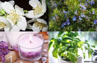 8 растений, которые помогут очистить воздух в вашем доме!