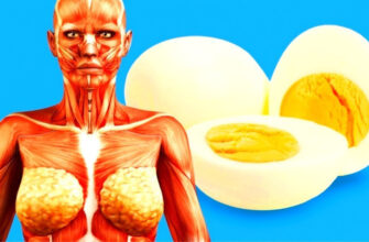 Что случится с телом, если есть по 2 яйца в день?