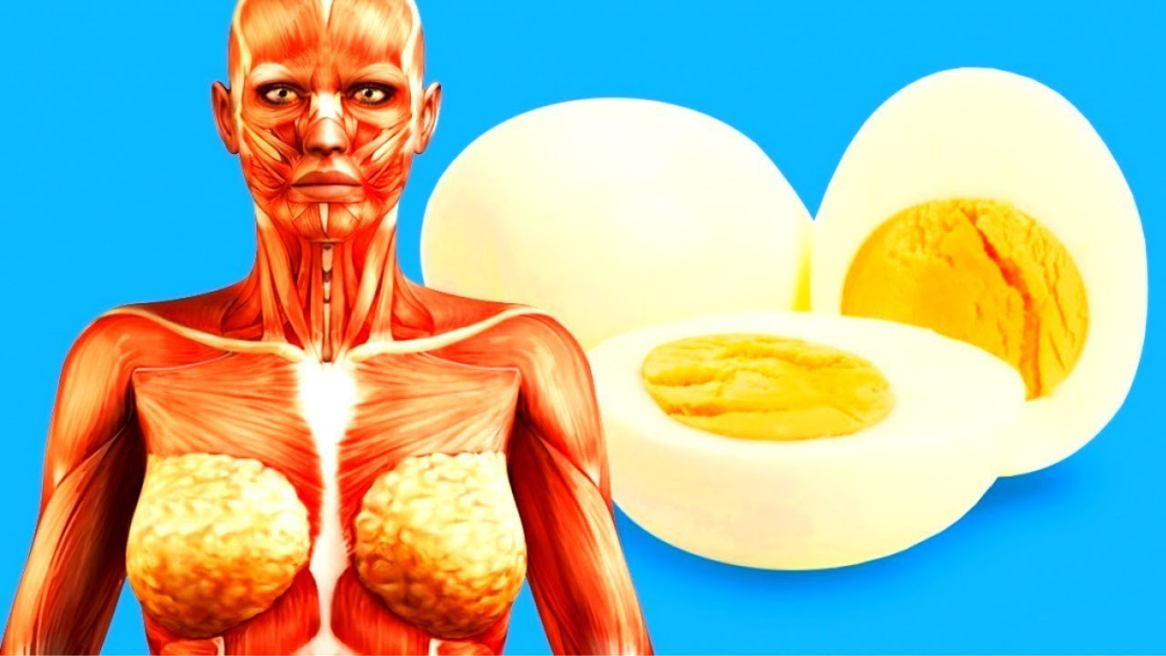 Что случится с телом, если есть по 2 яйца в день?