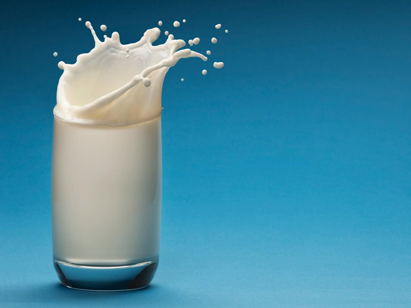 Новое масштабное исследование: Молоко опасно для организма!