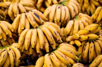 Не хотите обычные бананы? Вот 5 рецептов бананового сока и смузи, которые Вы можете попробовать!