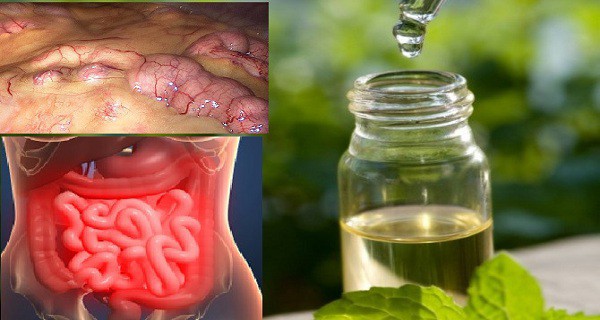 Метод, который предотвращает рак, устраняет жир и лишнюю воду из организма!