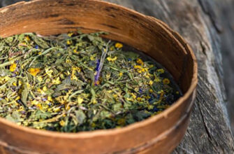 Традиционный американский чай, который исцеляет рак (Рецепт внутри)!